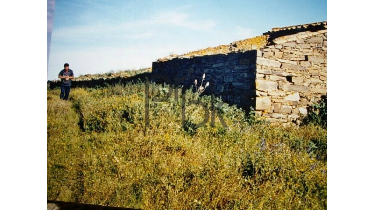 Quinta T0 para Venda em São Miguel do Pinheiro, São Pedro de Solis, São Sebastião dos Carros Foto 3