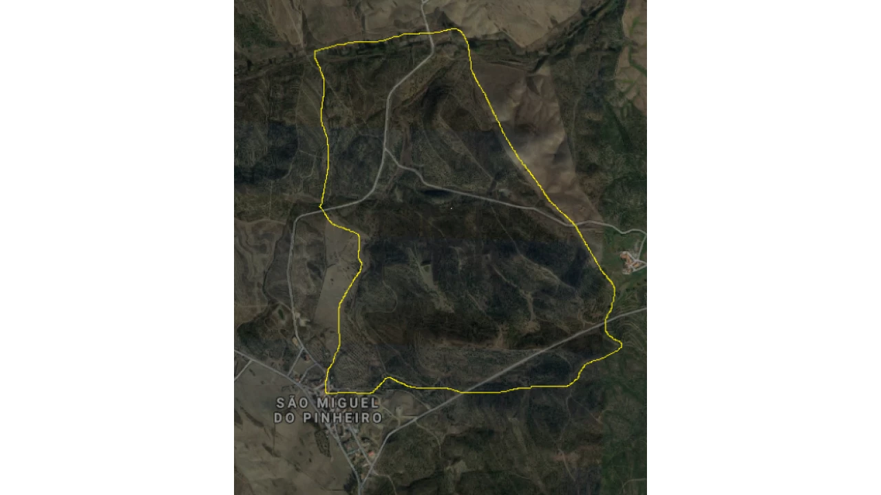 Quinta T0 para Venda em São Miguel do Pinheiro, São Pedro de Solis, São Sebastião dos Carros Foto 1