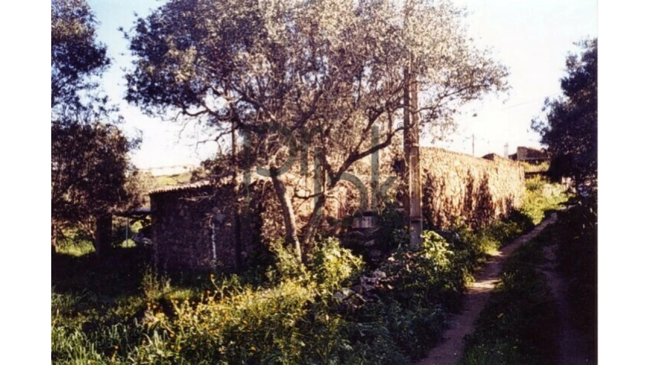Quinta T0 para Venda em São Miguel do Pinheiro, São Pedro de Solis, São Sebastião dos Carros Foto 10