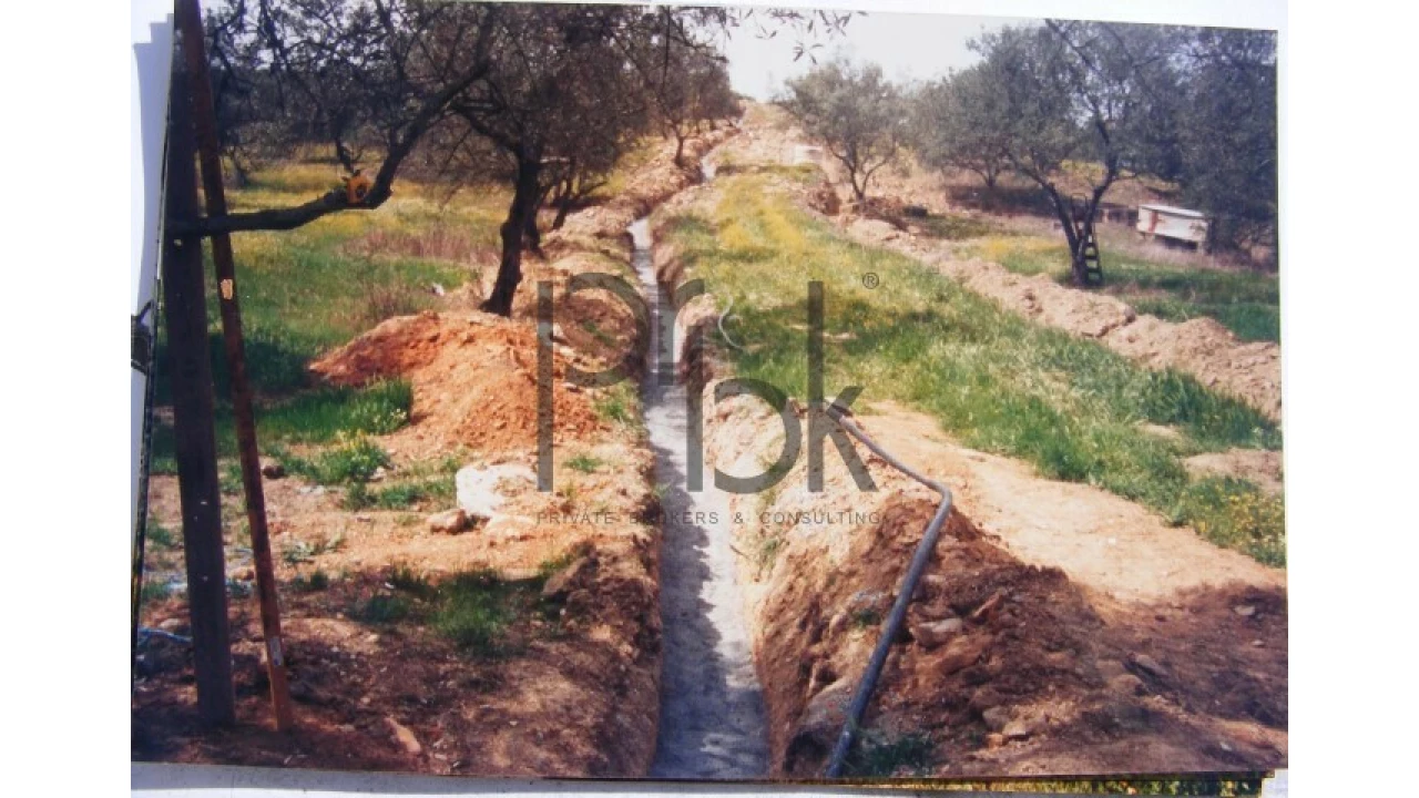 Quinta T0 para Venda em São Miguel do Pinheiro, São Pedro de Solis, São Sebastião dos Carros Foto 6