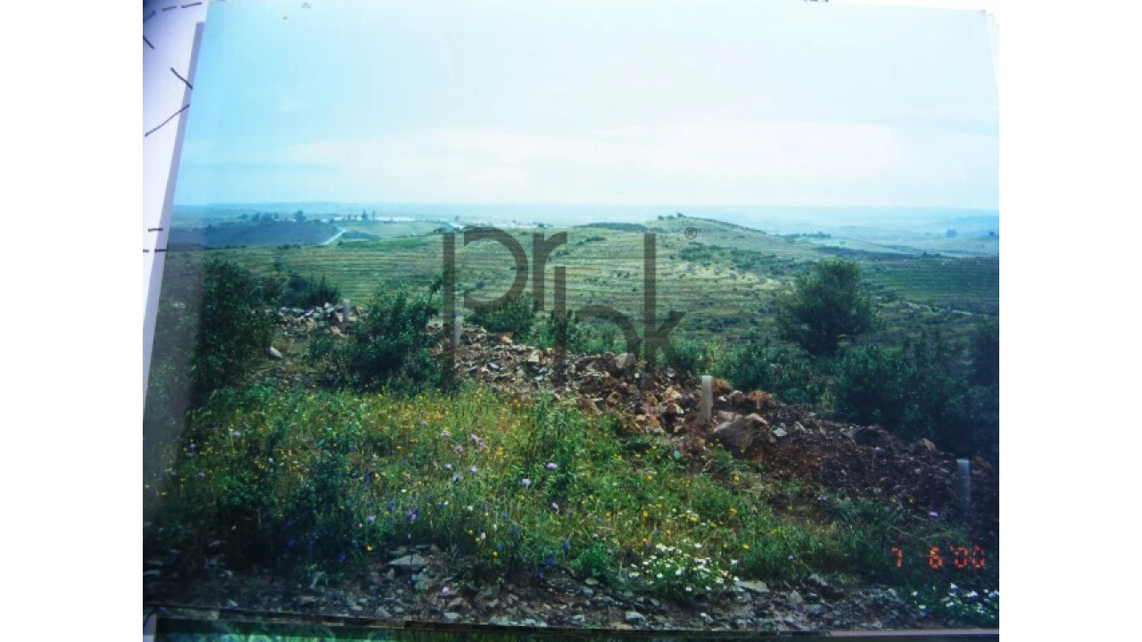 Quinta T0 para Venda em São Miguel do Pinheiro, São Pedro de Solis, São Sebastião dos Carros Foto 15
