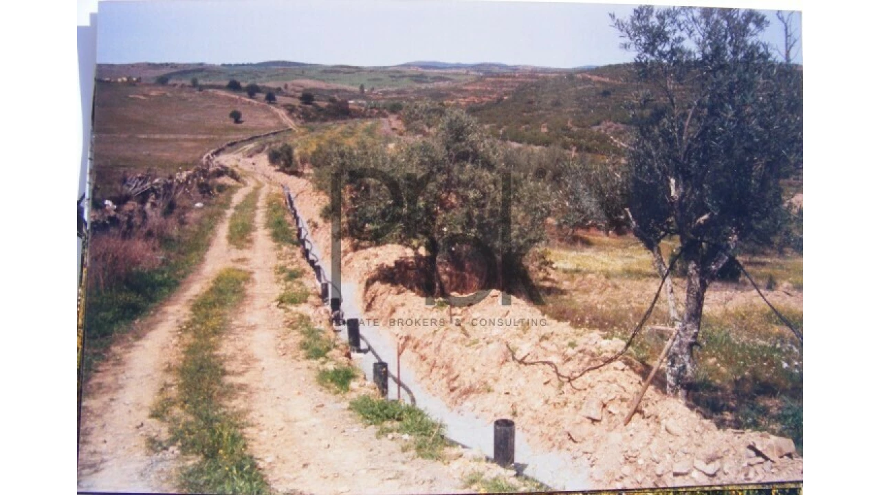 Quinta T0 para Venda em São Miguel do Pinheiro, São Pedro de Solis, São Sebastião dos Carros Foto 4