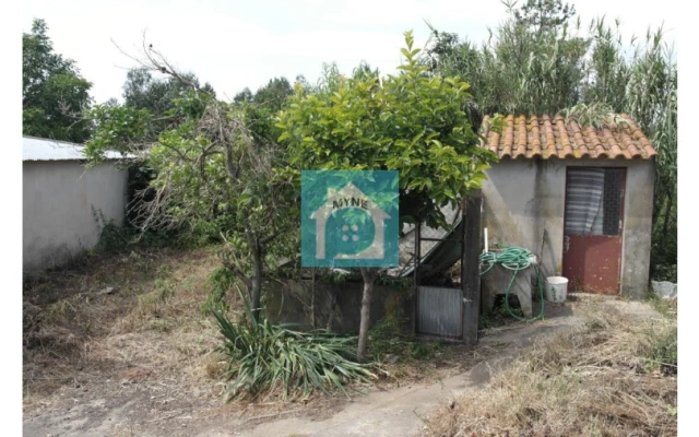 Armazém para Venda em Benedita Foto 14