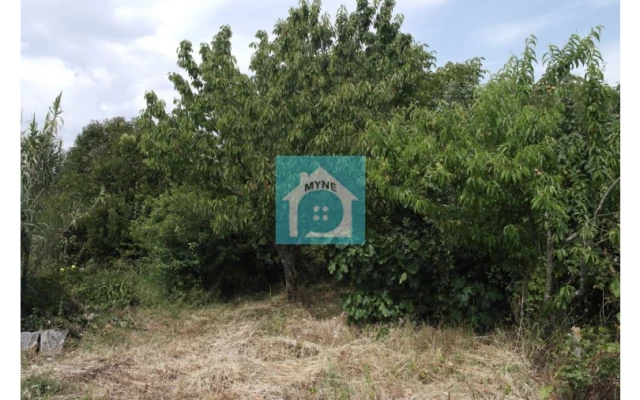 Armazém para Venda em Benedita Foto 15