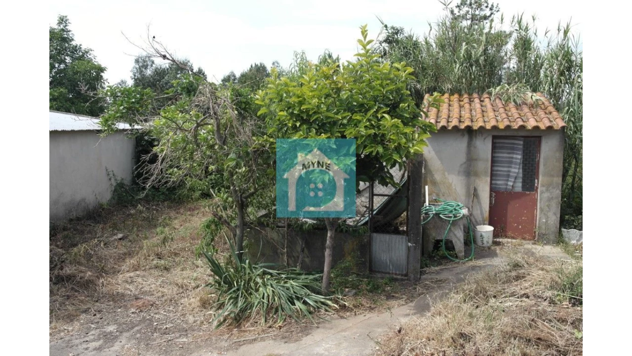 Armazém para Venda em Benedita Foto 14