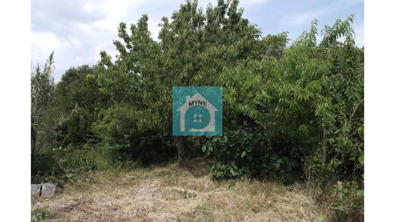 Armazém para Venda em Benedita Foto 15