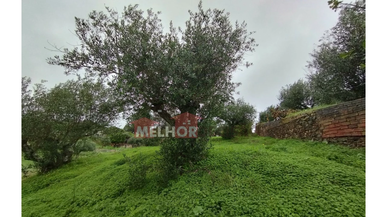 Moradia T2 para Venda em Praia do Ribatejo Foto 17