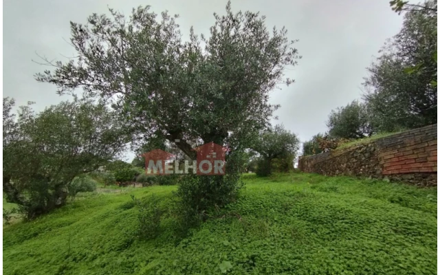 Moradia T2 para Venda em Praia do Ribatejo Foto 17