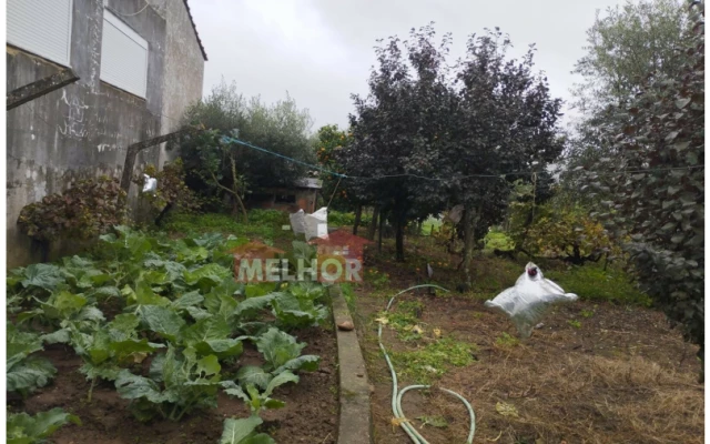 Moradia T2 para Venda em Praia do Ribatejo Foto 13