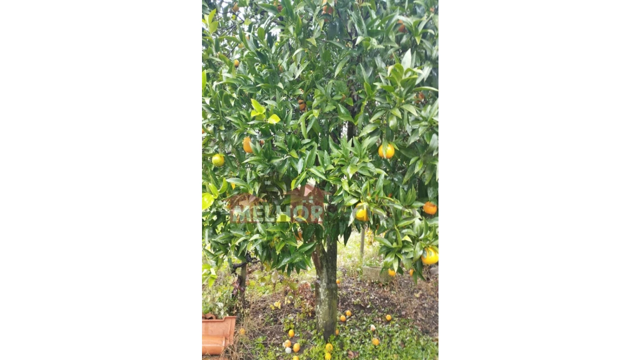 Moradia T2 para Venda em Praia do Ribatejo Foto 20