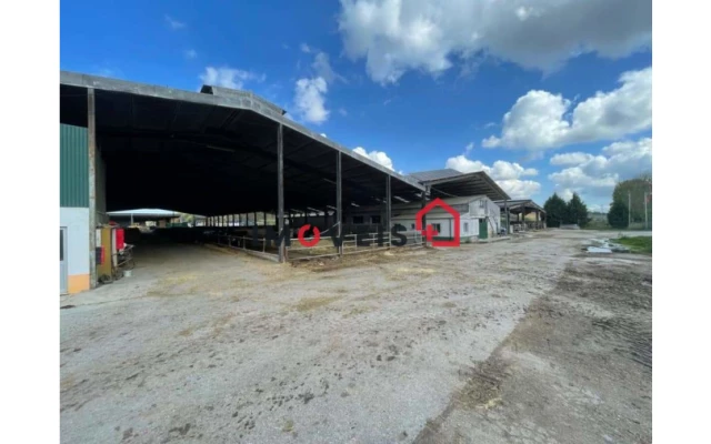 Quinta T0 para Venda em Valado dos Frades Foto 4