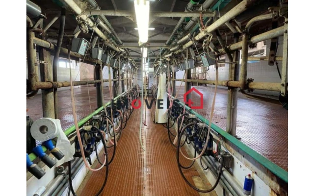 Quinta T0 para Venda em Valado dos Frades Foto 9