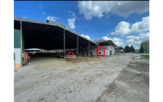 Quinta T0 para Venda em Valado dos Frades Foto 5