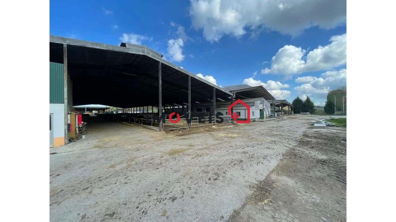 Quinta T0 para Venda em Valado dos Frades Foto 4