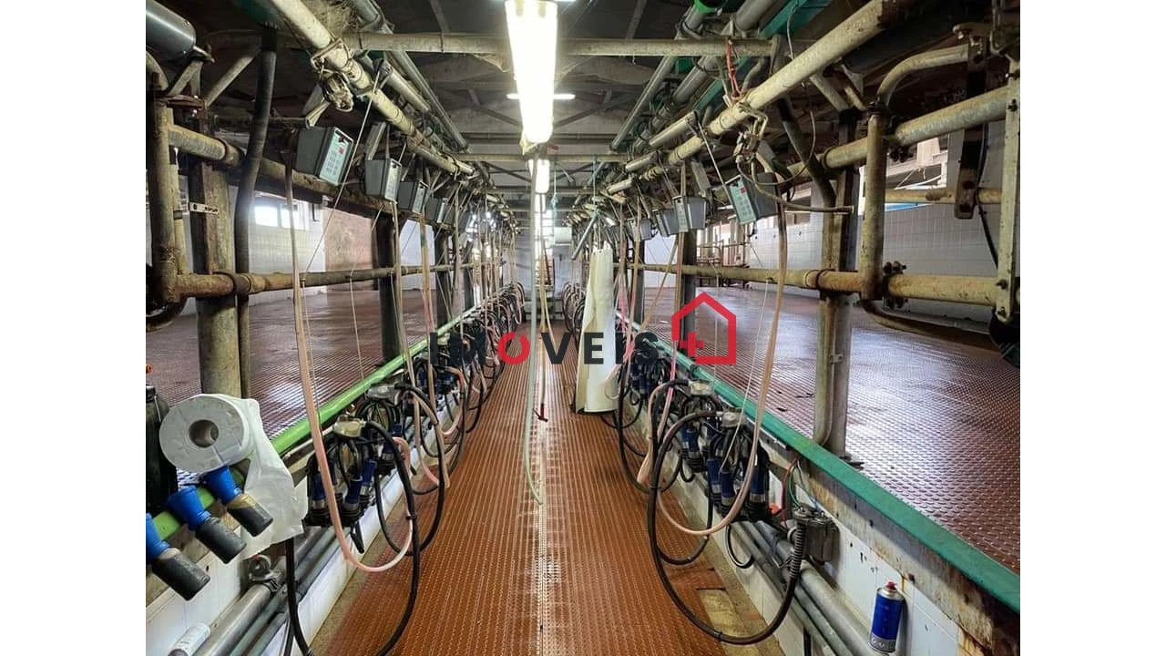 Quinta T0 para Venda em Valado dos Frades Foto 9