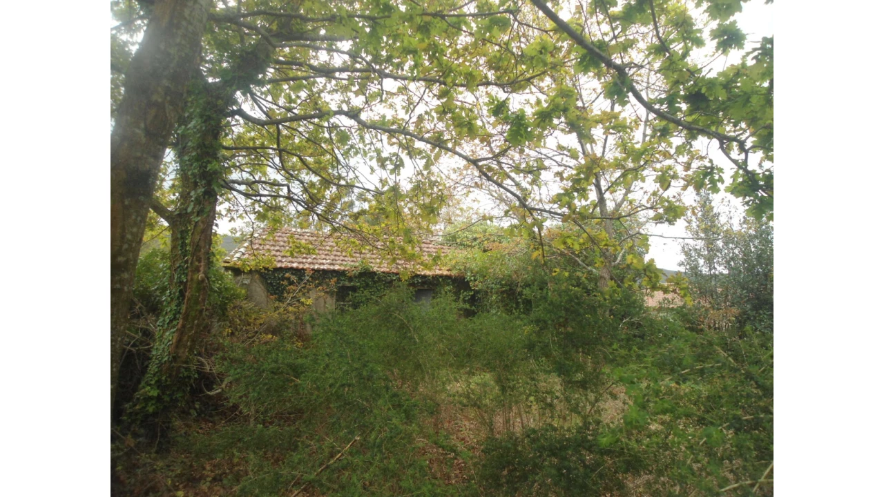 Moradia T0 para Venda em Sopo Foto 5