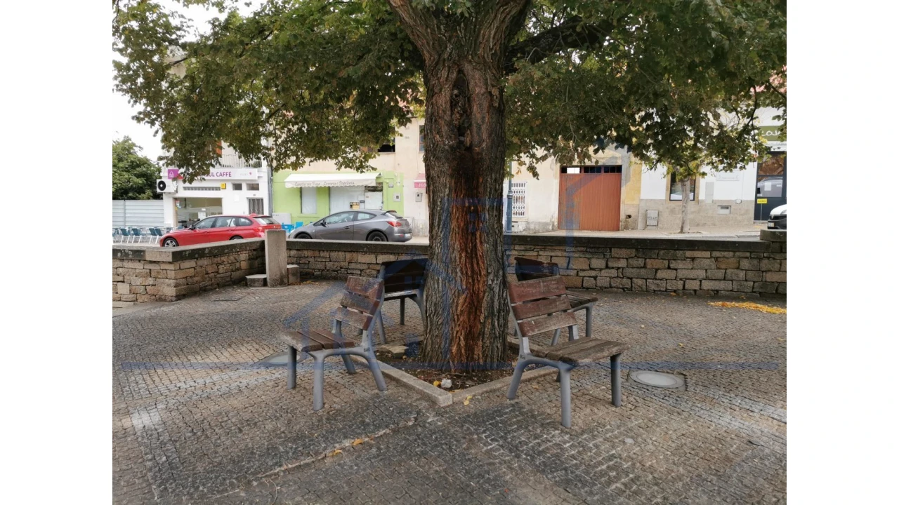 Armazém para Venda em Torre de Moncorvo Foto 5