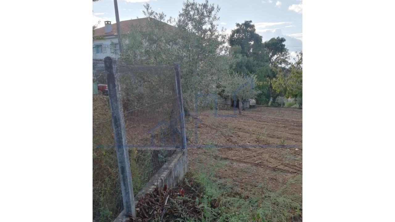 Moradia T3 para Venda em Felgar e Souto da Velha Foto 12