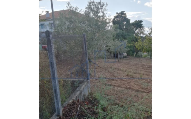 Moradia T3 para Venda em Felgar e Souto da Velha Foto 12