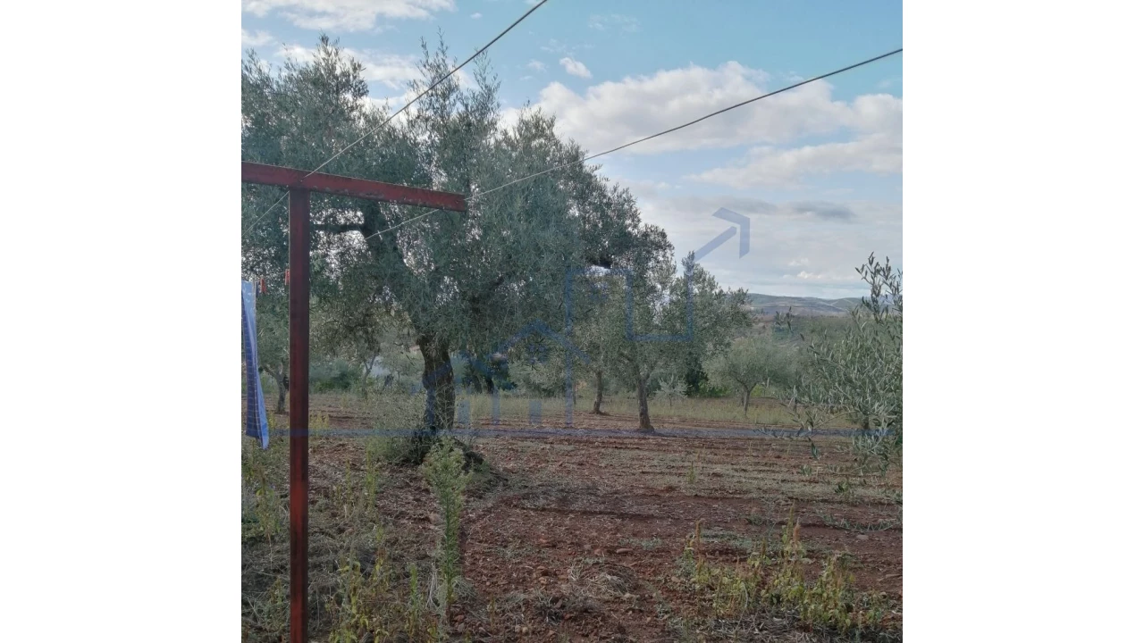 Moradia T3 para Venda em Felgar e Souto da Velha Foto 13