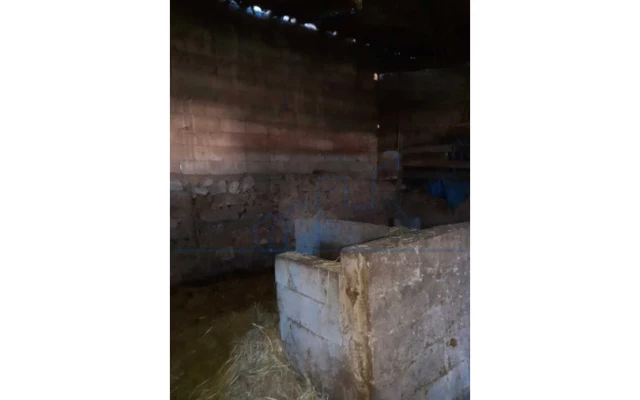 Armazém para Venda em Larinho Foto 16