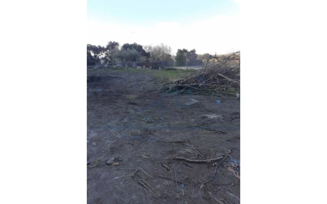 Armazém para Venda em Larinho Foto 10