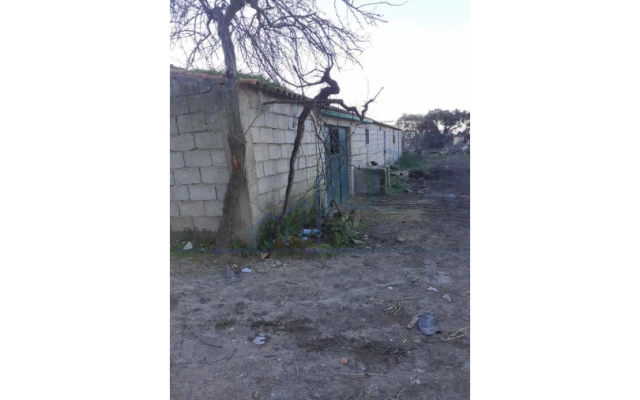 Armazém para Venda em Larinho Foto 12