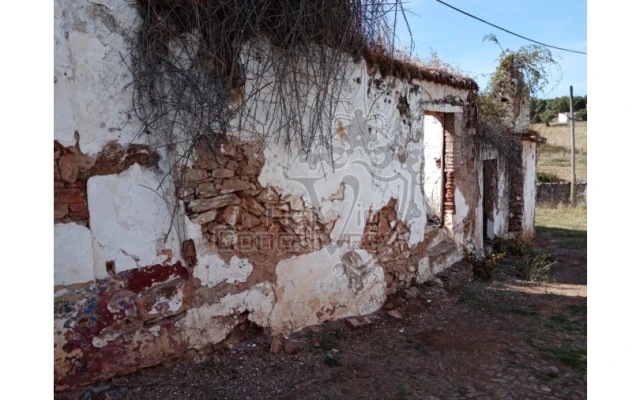 Moradia T5 para Venda em Estremoz (Santa Maria e Santo André) Foto 5