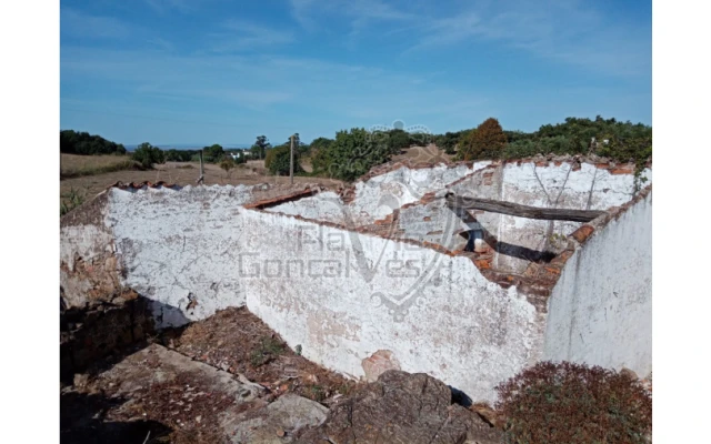 Moradia T5 para Venda em Estremoz (Santa Maria e Santo André) Foto 4