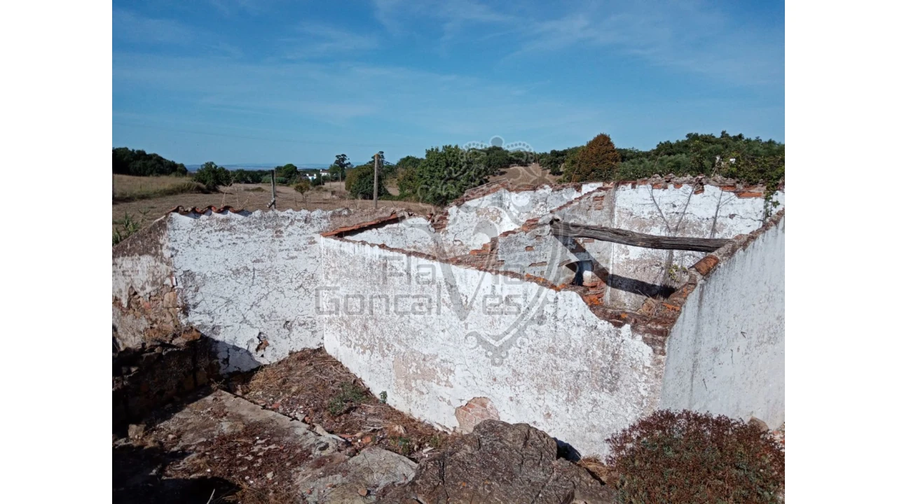 Moradia T5 para Venda em Estremoz (Santa Maria e Santo André) Foto 4