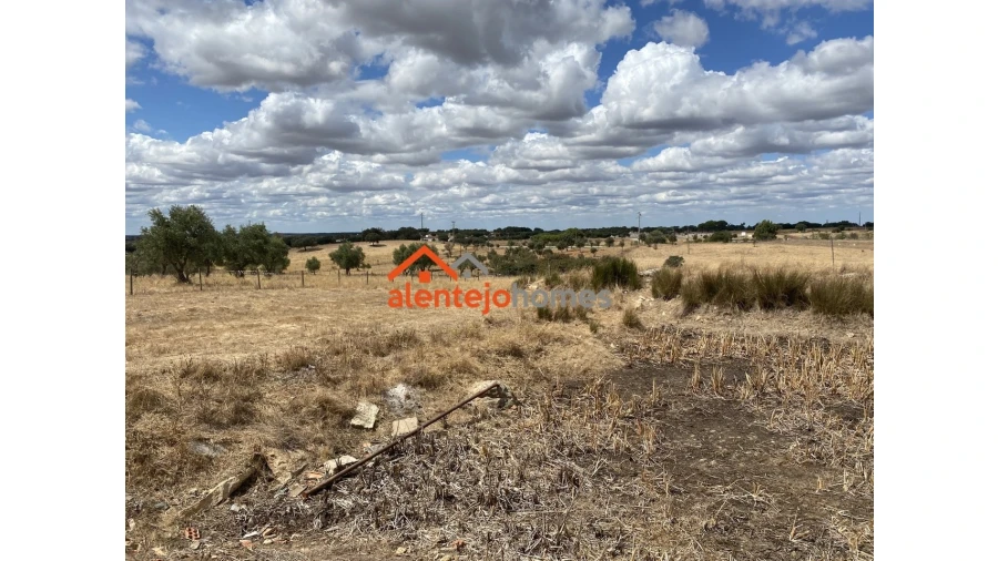 Armazém para Venda em Vimieiro Foto 20