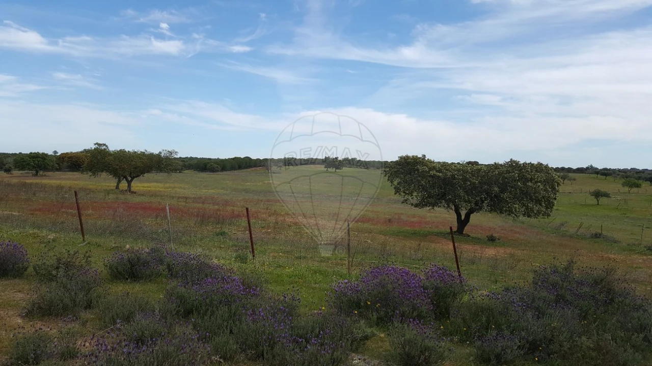 Terreno para Venda em Mourão Foto 1