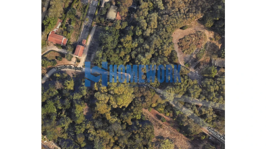 Terreno para Venda em Ajuda Foto 8