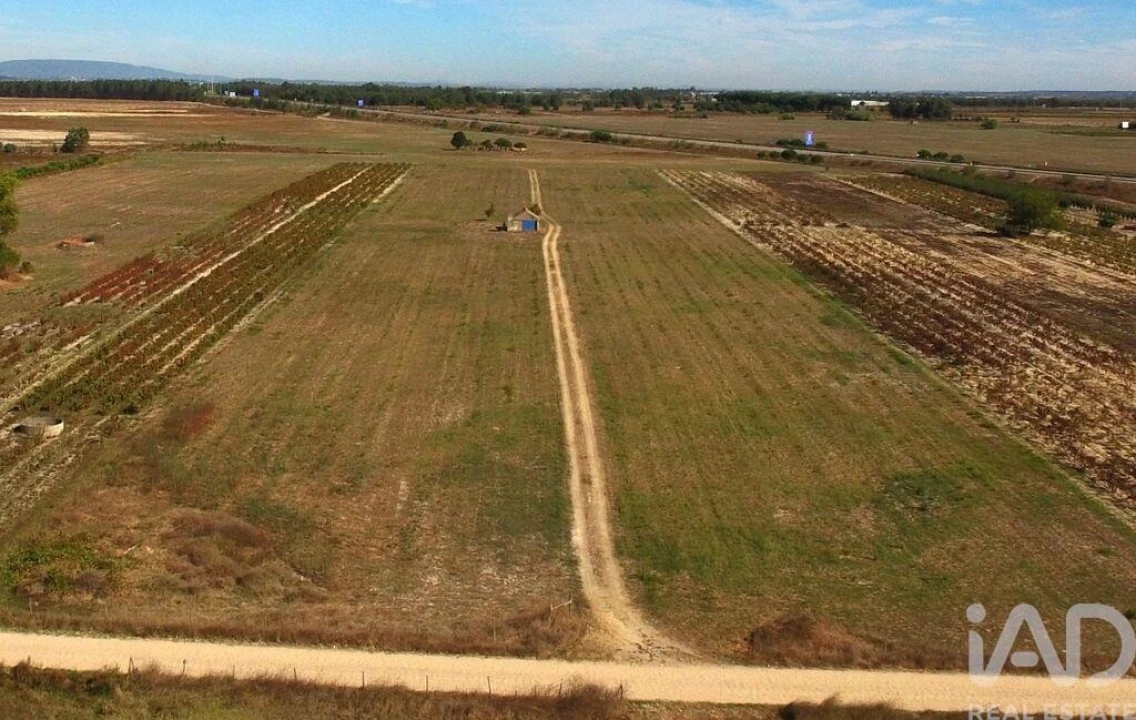 Moradia T2 para Venda em Almeirim Foto 14