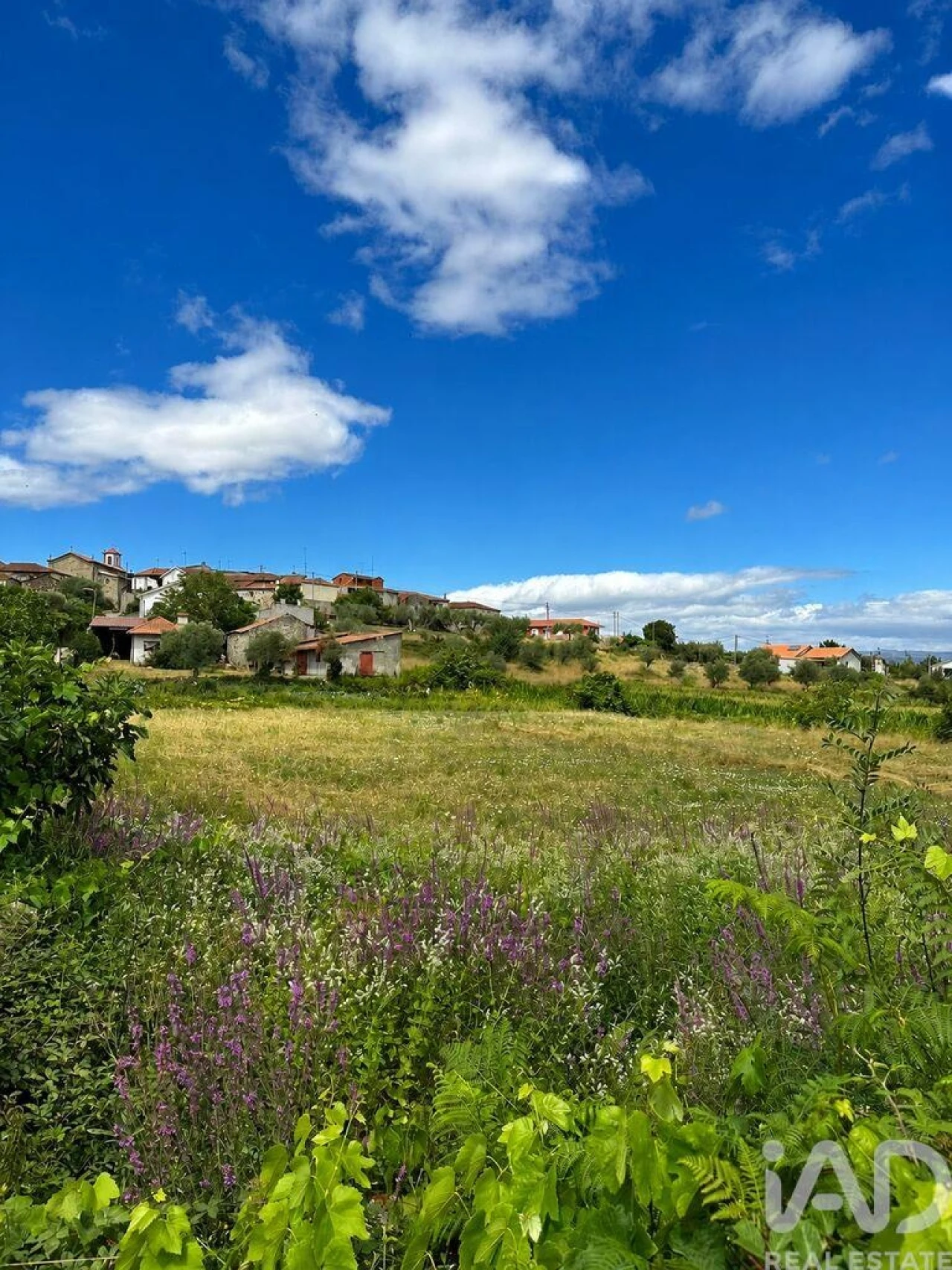Terreno para Venda em Calvão e Soutelinho da Raia Foto 3