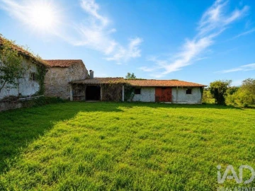 Terreno para Venda em Calvão e Soutelinho da Raia
