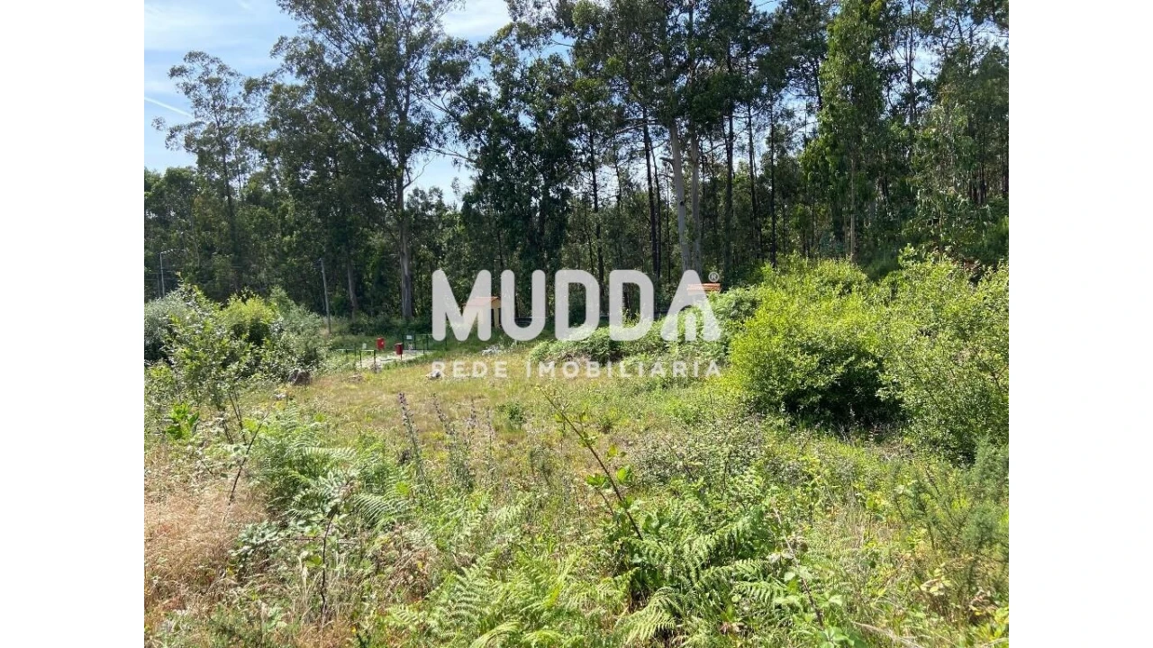 Terreno para Venda em Fajões Foto 7