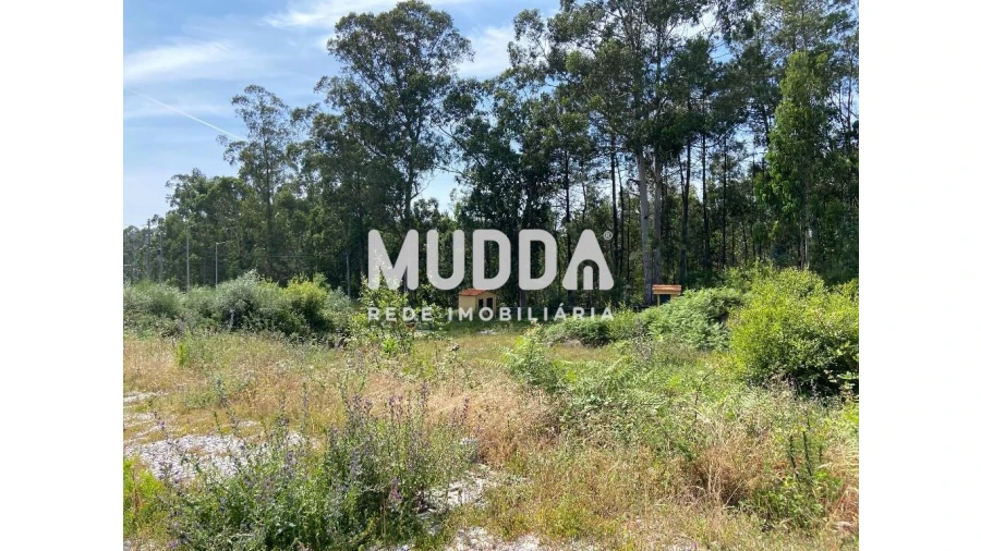 Terreno para Venda em Fajões Foto 6