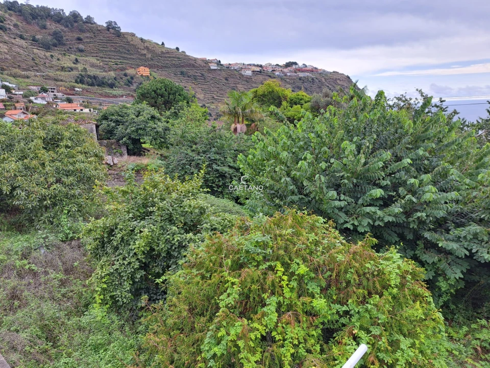 Terreno para Venda em Arco da Calheta Foto 2