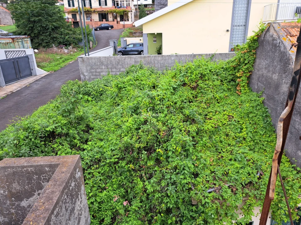 Terreno para Venda em Arco da Calheta Foto 4
