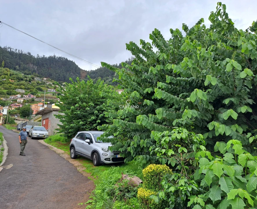 Terreno para Venda em Arco da Calheta Foto 11