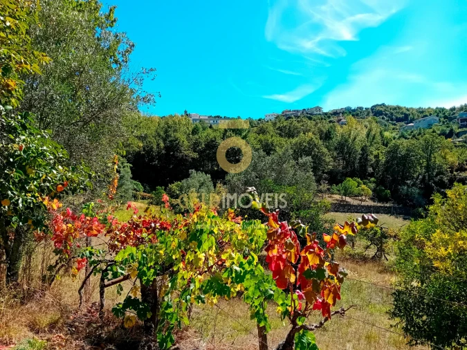 Moradia T4 para Venda em Espadanedo Foto 9