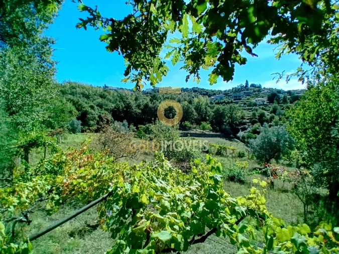 Moradia T4 para Venda em Espadanedo Foto 12