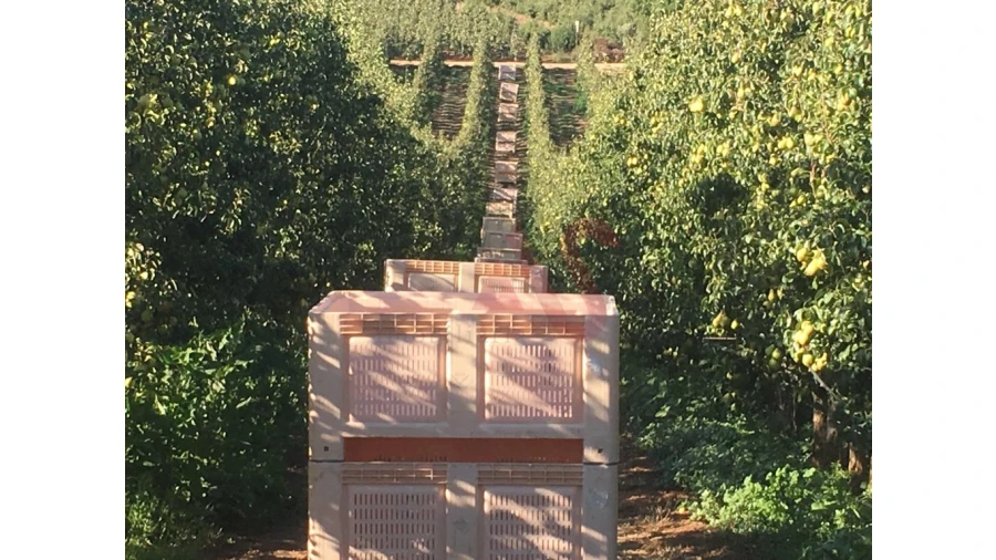 Quinta T0 para Venda em Alguber Foto 9