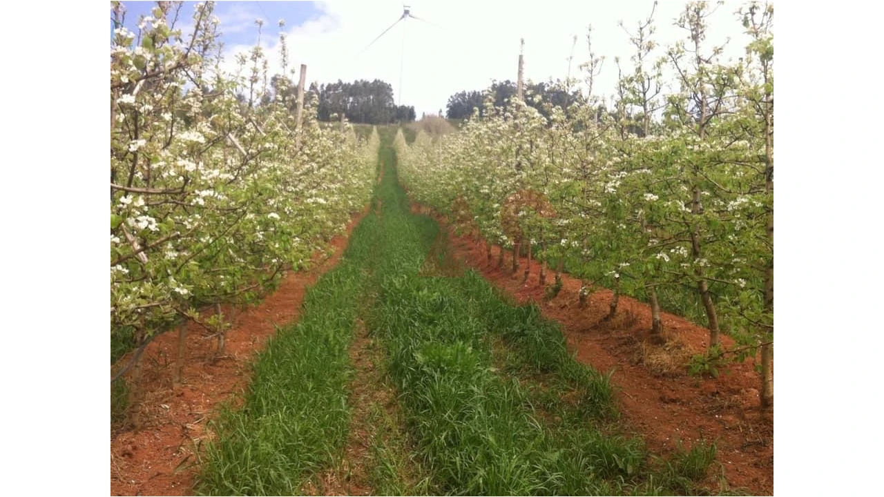 Quinta T0 para Venda em Alguber Foto 1