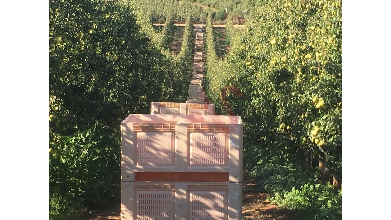 Quinta T0 para Venda em Alguber Foto 9