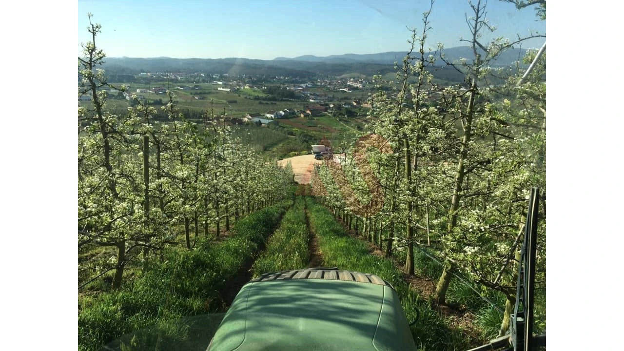 Quinta T0 para Venda em Alguber Foto 2