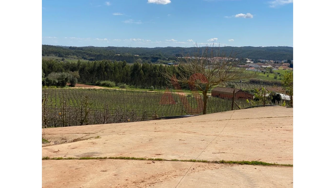 Quinta T0 para Venda em Alguber Foto 13