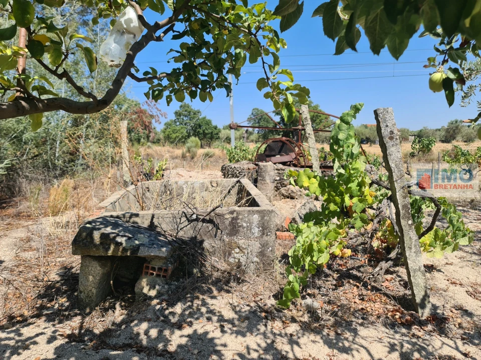 Quinta T0 para Venda em Lardosa Foto 2