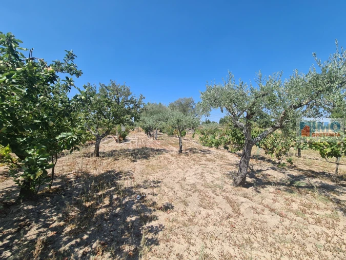 Quinta T0 para Venda em Lardosa Foto 12